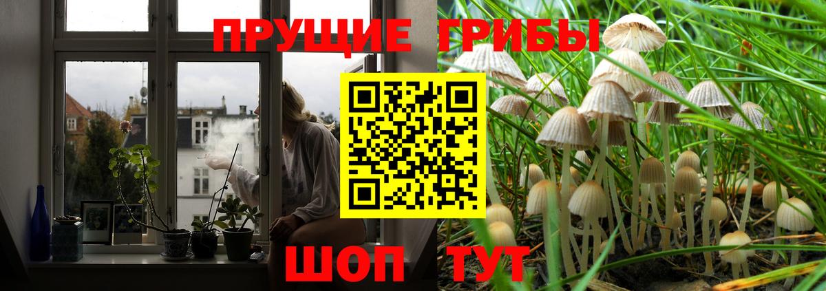 Воронеж  Галлюциногенные грибы Psilocybe  наркота  Вход с VPN 